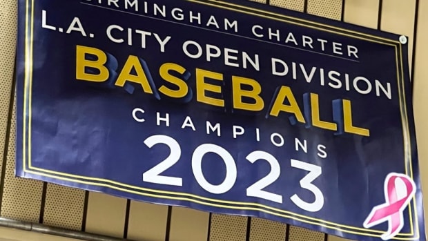 Birmingham baseball 2023 City title banner
