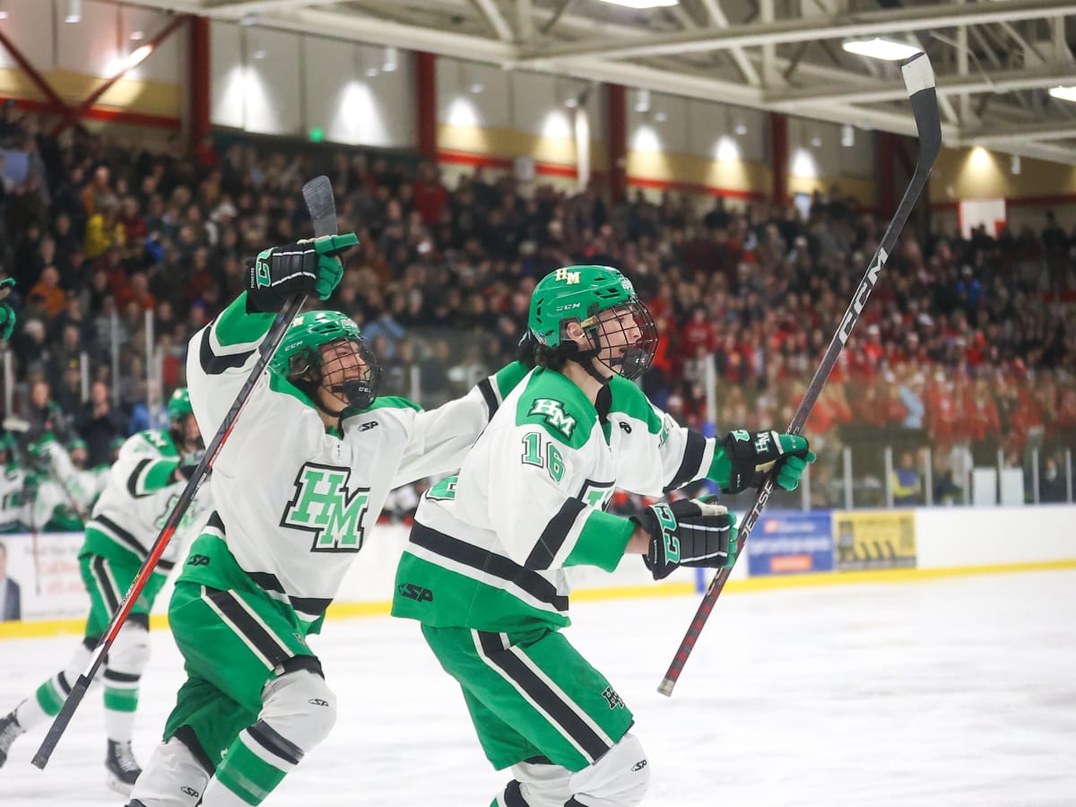 Hill-Murray boys hockey blanks Gentry Academy in Section 4AA final