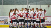 Minnesota high school girls hockey state tournament: Meet the top players
