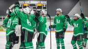 Minnesota high school girls hockey state tournament brackets