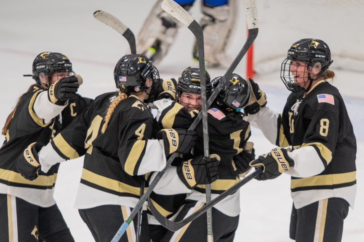 Andover Dominates Rosemount with a 6-0 Victory in MSHSL Girls Hockey Quarterfinals