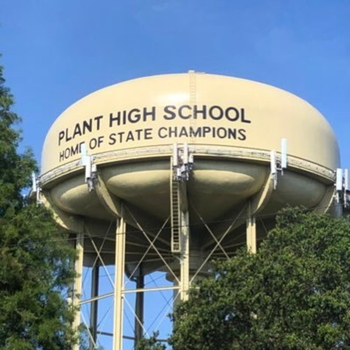 The water tower at Plant High School 